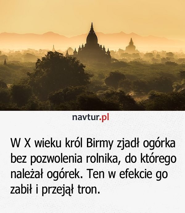 Król Birmy a ogórek