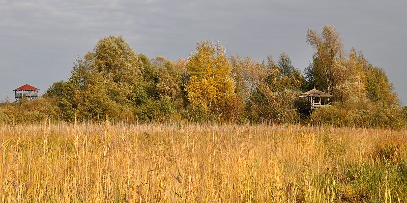 Gostynińsko-Włocławski Park Krajobrazowy