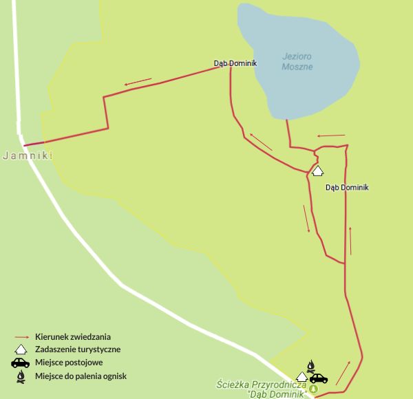Poleski Park Narodowy - Ścieżka przyrodnicza Dąb Dominik
