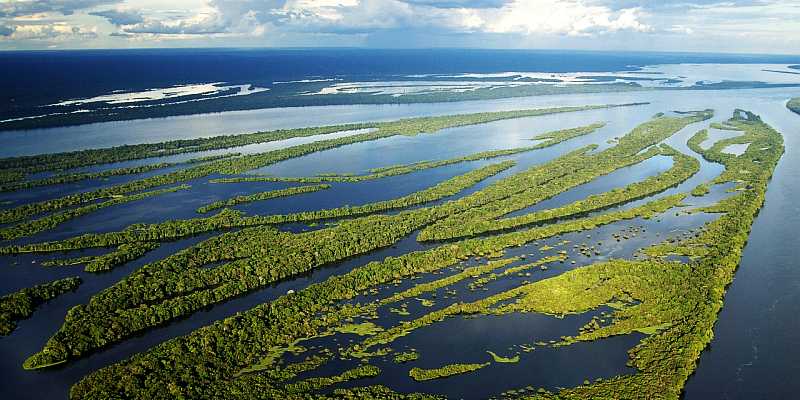Siedem Nowych Cudów Natury - Amazonia