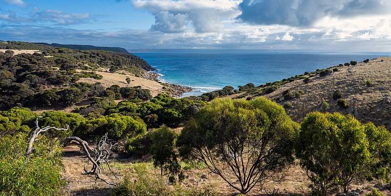 20 Ciekawostek o Australii