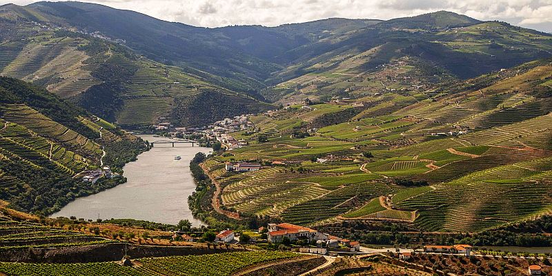 Region winiarski Alto Douro