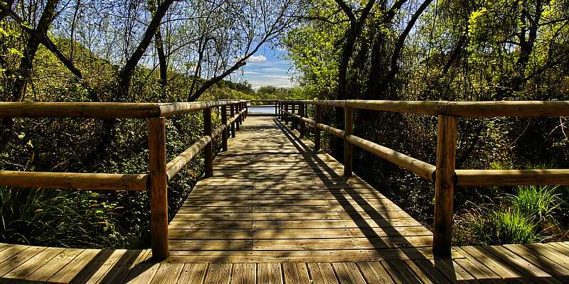 Park Narodowy Doñana