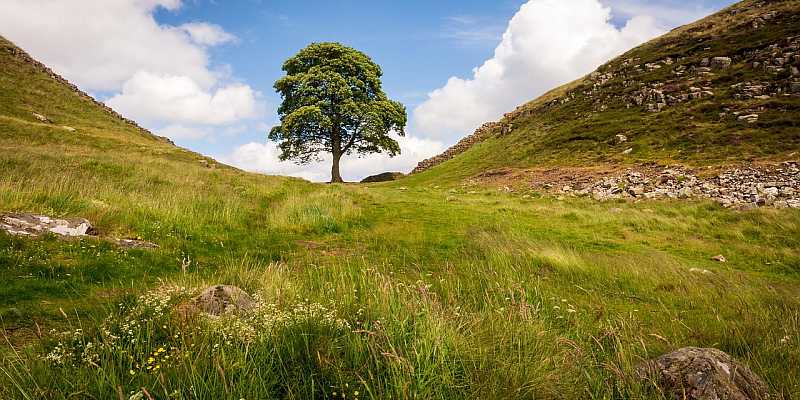 Park Narodowy Northumberland