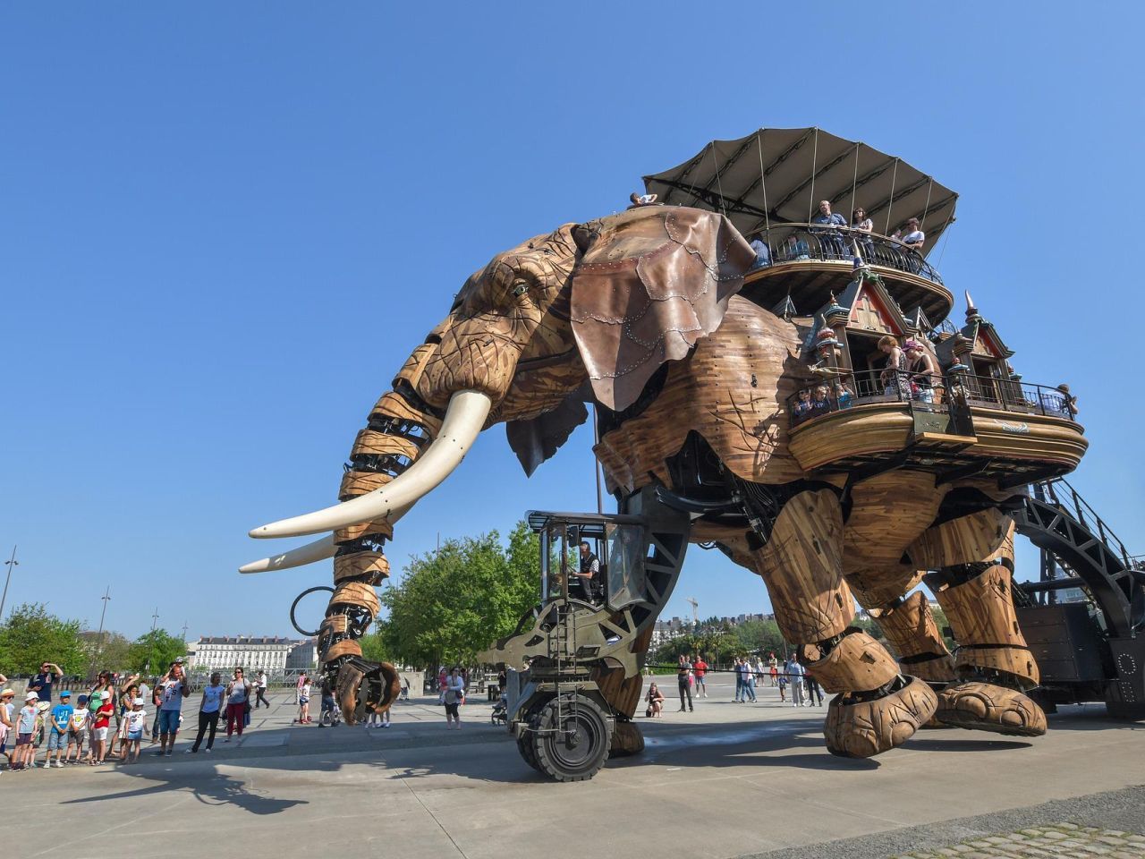 Mechaniczny drewniany słoń
