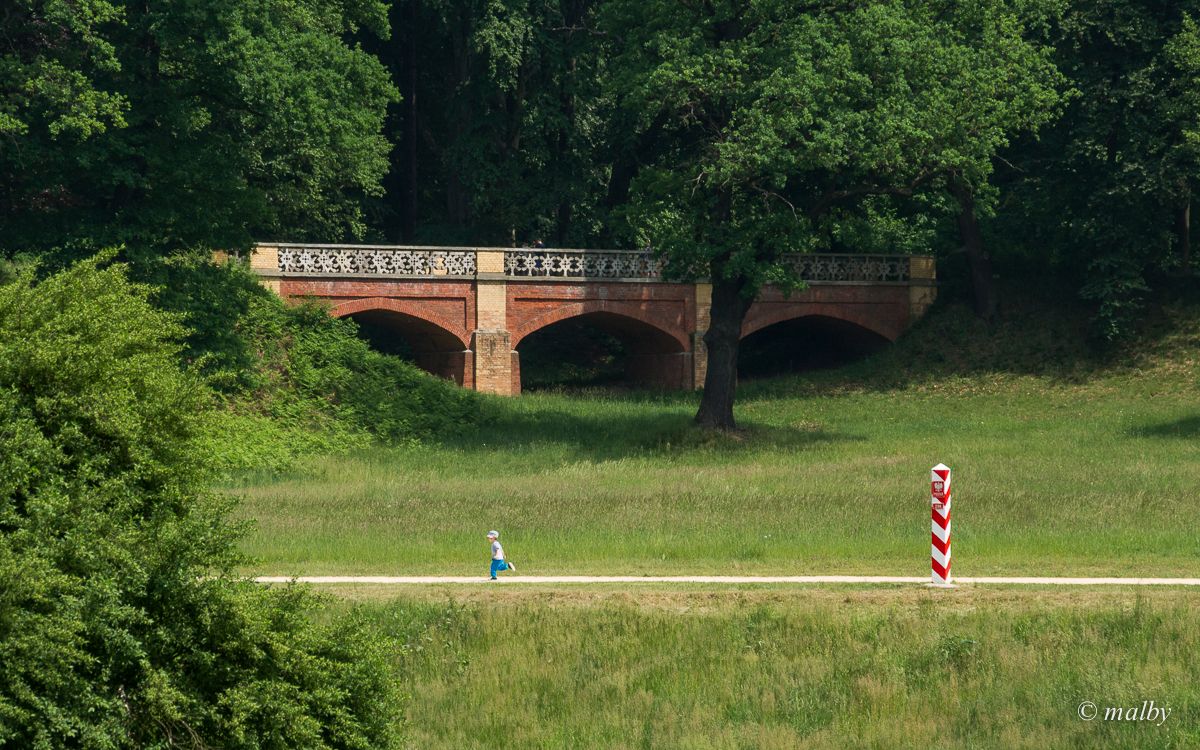 Fragment Parku Mużakowskiego