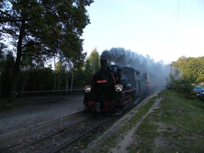 Urodziny w Parku Adrenaliny i Westernu Runów 9