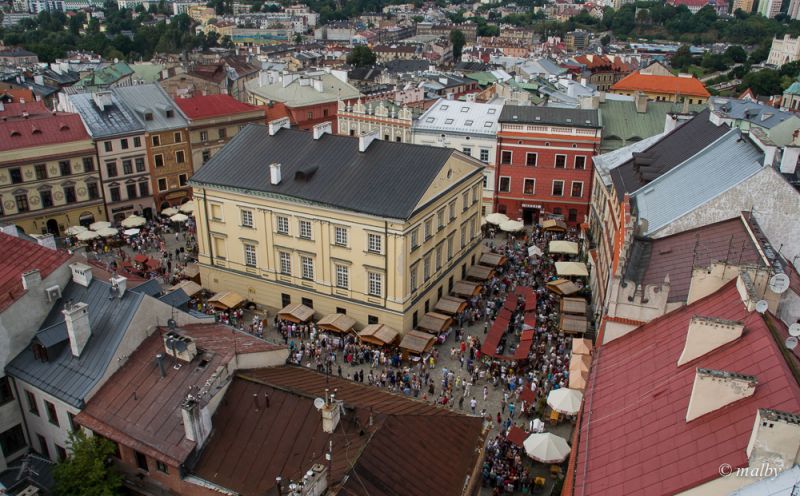 Miasto z Wieży Trynitarskiej