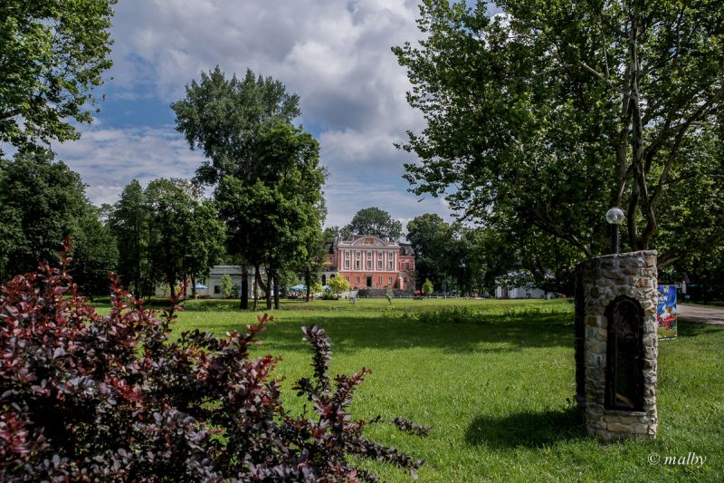 Przypałacowy park