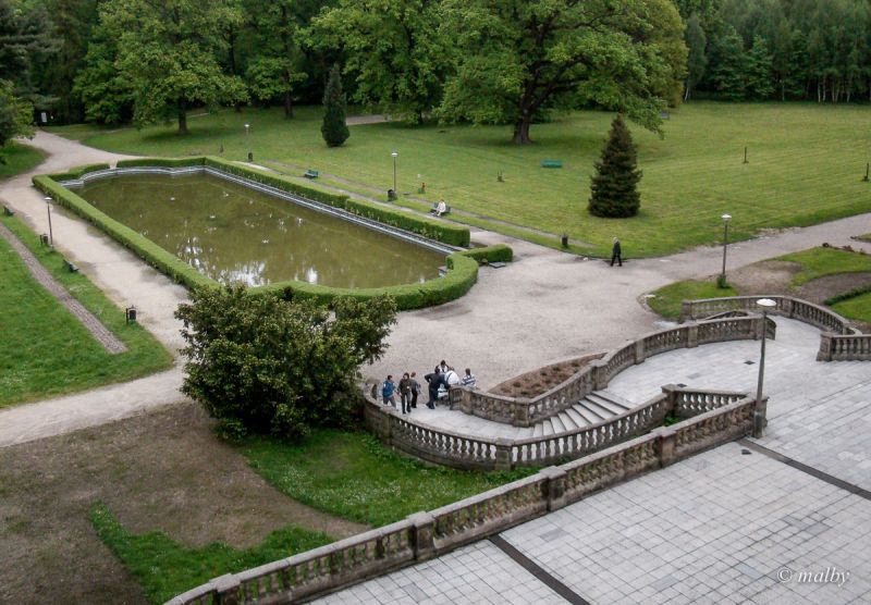 Widok na park