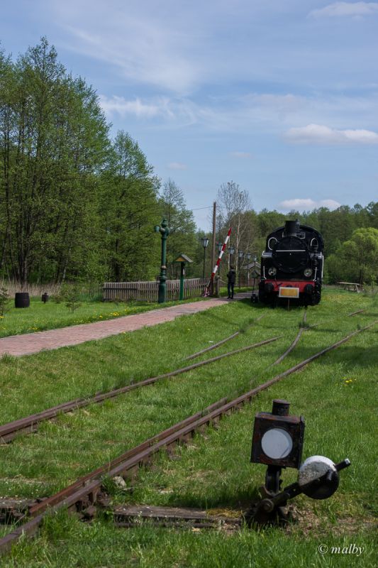 Białowieża Towarowa