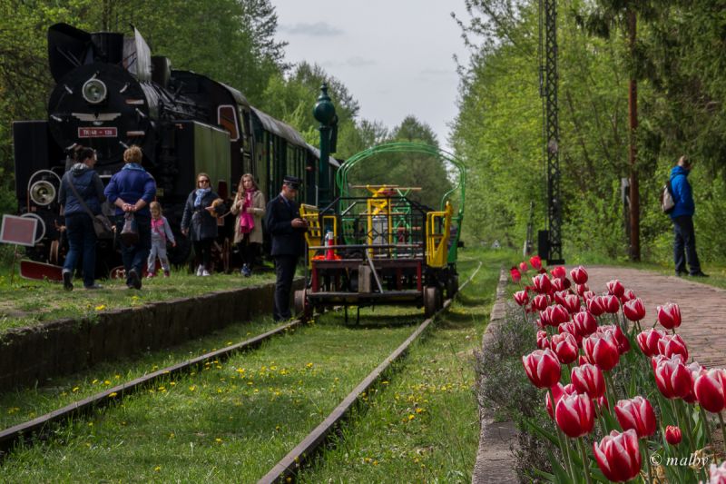 Białowieża Towarowa 