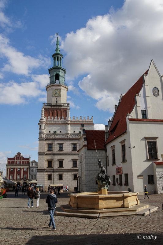 Rynek