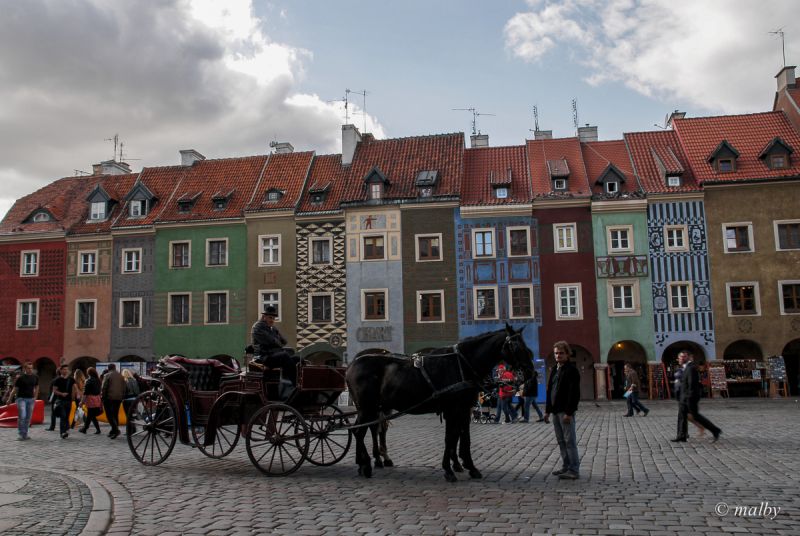 Dorożka na rynku