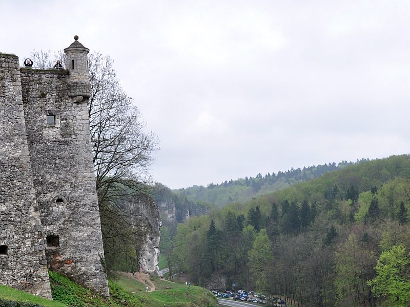 Maczuga Herkulesa - Widok z Zamku na Pieskowej Skale