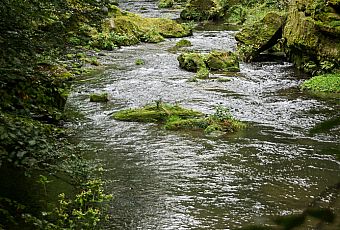 Rzeka Kamenice
