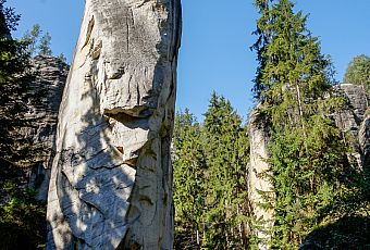 Ząb Karkonosza