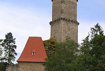 Zamek Zvíkov