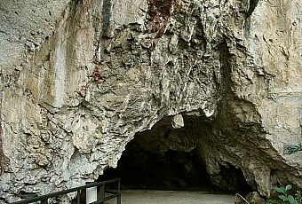 Jaskinia Tito Bustillo