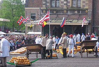 Targ serow w Alkmaar