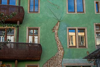 Dom z żyrafą