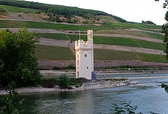 Mysia Wieża w Bingen