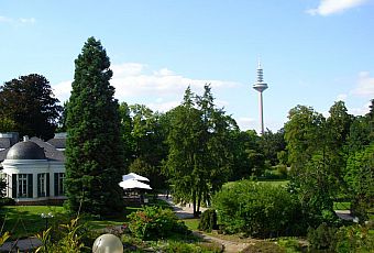 Ogród Palmowy we Frankfurcie