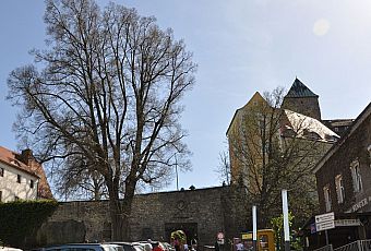 Zamek Hohnstein (Saksonia)