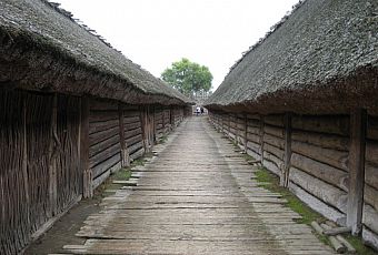 Muzeum Archeologiczne w Biskupinie