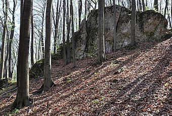 Ruiny Zamku w Ostrężniku