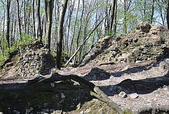 Ruiny Zamku w Ostrężniku
