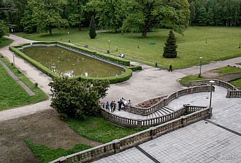 Widok na park