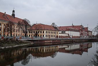 Ostrów Tumski 