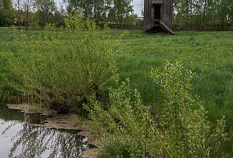 Skansen Architektury Drewnianej