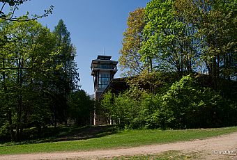 Wieża widokowa Muzeum Przyrodniczo Leśnego w Parku Pałacowym