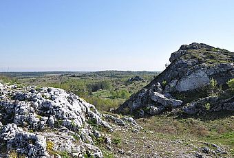 Zamek w Olsztynie k. Częstochowy