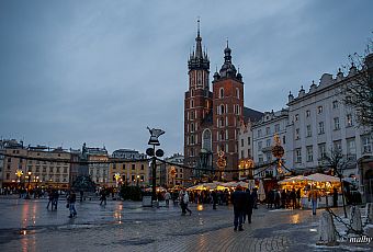 Kościół Mariacki