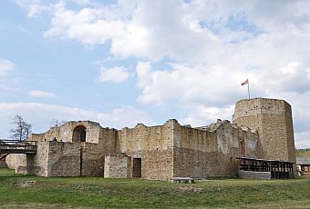 Zamek w Inowłodzu