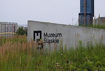 Muzeum Śląskie w Katowicach