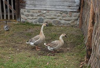 Skansen im. Marii Żywirskiej w Brańszczyku