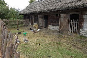 Skansen im. Marii Żywirskiej w Brańszczyku