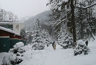 Szczawnica