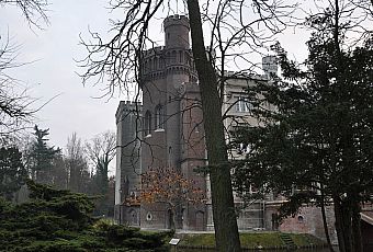 Zamek w Kórniku