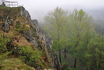 Gród na Górze Birów