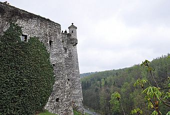 Zamek w Pieskowej Skale