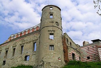 Zamek w Janowcu