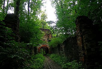 Zamek Gryf