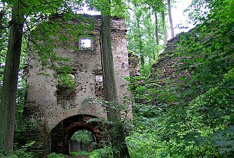 Zamek Gryf