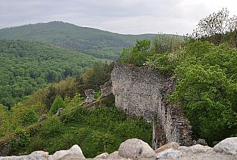 Zamek Topolczański