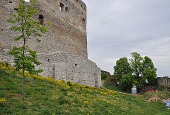 Zamek Topolczański